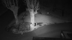 Horský hotel Čarták na Soláni - Pohled na Amfiteatr - 23.12.2025 v 01:50 Horský hotel Čarták na Soláni - Pohled na Amfiteatr - 23.12.2025 v 01:50