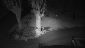 Horský hotel Čarták na Soláni - Pohled na Amfiteatr - 23.12.2025 v 02:20 Horský hotel Čarták na Soláni - Pohled na Amfiteatr - 23.12.2025 v 02:20