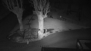 Horský hotel Čarták na Soláni - Pohled na Amfiteatr - 23.12.2025 v 06:35 Horský hotel Čarták na Soláni - Pohled na Amfiteatr - 23.12.2025 v 06:35