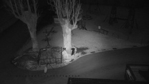 Horský hotel Čarták na Soláni - Pohled na Amfiteatr - 23.12.2025 v 06:45 Horský hotel Čarták na Soláni - Pohled na Amfiteatr - 23.12.2025 v 06:45