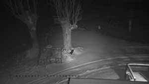 Horský hotel Čarták na Soláni - Pohled na Amfiteatr - 1.1.2026 v 02:05 Horský hotel Čarták na Soláni - Pohled na Amfiteatr - 1.1.2026 v 02:05