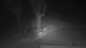 Horský hotel Čarták na Soláni - Pohled na Amfiteatr - 9.1.2026 v 02:35 Horský hotel Čarták na Soláni - Pohled na Amfiteatr - 9.1.2026 v 02:35