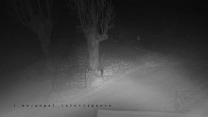 Horský hotel Čarták na Soláni - Pohled na Amfiteatr - 9.1.2026 v 03:00 Horský hotel Čarták na Soláni - Pohled na Amfiteatr - 9.1.2026 v 03:00