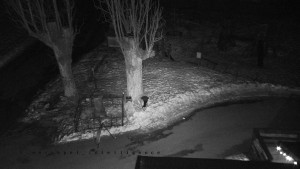 Horský hotel Čarták na Soláni - Pohled na Amfiteatr - 22.1.2026 v 19:00 Horský hotel Čarták na Soláni - Pohled na Amfiteatr - 22.1.2026 v 19:00