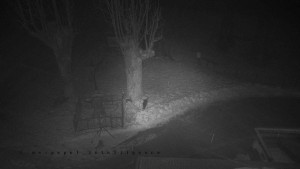 Horský hotel Čarták na Soláni - Pohled na Amfiteatr - 31.1.2026 v 01:25 Horský hotel Čarták na Soláni - Pohled na Amfiteatr - 31.1.2026 v 01:25