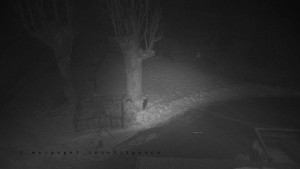 Horský hotel Čarták na Soláni - Pohled na Amfiteatr - 31.1.2026 v 01:30 Horský hotel Čarták na Soláni - Pohled na Amfiteatr - 31.1.2026 v 01:30