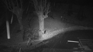 Horský hotel Čarták na Soláni - Pohled na Amfiteatr - 31.1.2026 v 02:30 Horský hotel Čarták na Soláni - Pohled na Amfiteatr - 31.1.2026 v 02:30