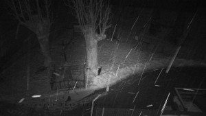 Horský hotel Čarták na Soláni - Pohled na Amfiteatr - 31.1.2026 v 02:45 Horský hotel Čarták na Soláni - Pohled na Amfiteatr - 31.1.2026 v 02:45