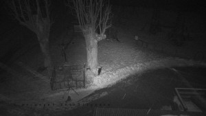 Horský hotel Čarták na Soláni - Pohled na Amfiteatr - 31.1.2026 v 03:05 Horský hotel Čarták na Soláni - Pohled na Amfiteatr - 31.1.2026 v 03:05