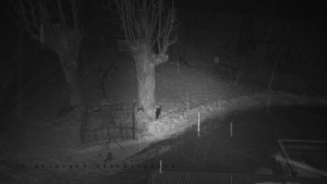 Horský hotel Čarták na Soláni - Pohled na Amfiteatr - 31.1.2026 v 03:15 Horský hotel Čarták na Soláni - Pohled na Amfiteatr - 31.1.2026 v 03:15