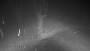 Horský hotel Čarták na Soláni - Pohled na Amfiteatr - 31.1.2026 v 03:30 Horský hotel Čarták na Soláni - Pohled na Amfiteatr - 31.1.2026 v 03:30