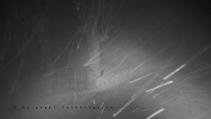 Horský hotel Čarták na Soláni - Pohled na Amfiteatr - 31.1.2026 v 04:25 Horský hotel Čarták na Soláni - Pohled na Amfiteatr - 31.1.2026 v 04:25