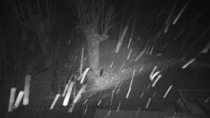 Horský hotel Čarták na Soláni - Pohled na Amfiteatr - 31.1.2026 v 04:30 Horský hotel Čarták na Soláni - Pohled na Amfiteatr - 31.1.2026 v 04:30