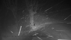 Horský hotel Čarták na Soláni - Pohled na Amfiteatr - 31.1.2026 v 04:40 Horský hotel Čarták na Soláni - Pohled na Amfiteatr - 31.1.2026 v 04:40