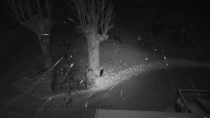 Horský hotel Čarták na Soláni - Pohled na Amfiteatr - 31.1.2026 v 06:15 Horský hotel Čarták na Soláni - Pohled na Amfiteatr - 31.1.2026 v 06:15