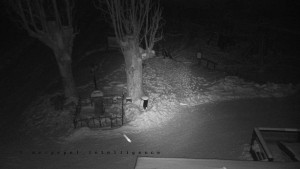 Horský hotel Čarták na Soláni - Pohled na Amfiteatr - 19.2.2026 v 01:45 Horský hotel Čarták na Soláni - Pohled na Amfiteatr - 19.2.2026 v 01:45