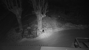 Horský hotel Čarták na Soláni - Pohled na Amfiteatr - 19.2.2026 v 03:40 Horský hotel Čarták na Soláni - Pohled na Amfiteatr - 19.2.2026 v 03:40