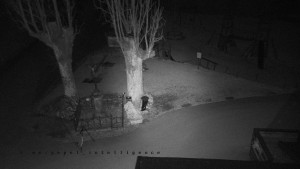 Horský hotel Čarták na Soláni - Pohled na Amfiteatr - 6.3.2026 v 01:35 Horský hotel Čarták na Soláni - Pohled na Amfiteatr - 6.3.2026 v 01:35