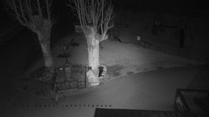 Horský hotel Čarták na Soláni - Pohled na Amfiteatr - 6.3.2026 v 03:40 Horský hotel Čarták na Soláni - Pohled na Amfiteatr - 6.3.2026 v 03:40