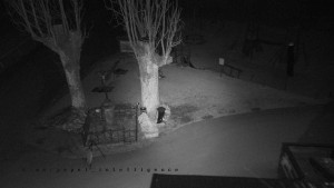 Horský hotel Čarták na Soláni - Pohled na Amfiteatr - 6.3.2026 v 04:35 Horský hotel Čarták na Soláni - Pohled na Amfiteatr - 6.3.2026 v 04:35