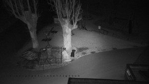 Horský hotel Čarták na Soláni - Pohled na Amfiteatr - 17.3.2026 v 00:00 Horský hotel Čarták na Soláni - Pohled na Amfiteatr - 17.3.2026 v 00:00