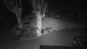 Horský hotel Čarták na Soláni - Pohled na Amfiteatr - 17.3.2026 v 00:05 Horský hotel Čarták na Soláni - Pohled na Amfiteatr - 17.3.2026 v 00:05