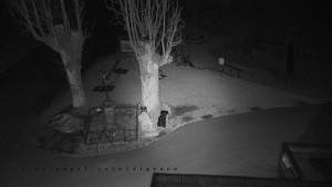 Horský hotel Čarták na Soláni - Pohled na Amfiteatr - 17.3.2026 v 00:30 Horský hotel Čarták na Soláni - Pohled na Amfiteatr - 17.3.2026 v 00:30