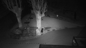 Horský hotel Čarták na Soláni - Pohled na Amfiteatr - 17.3.2026 v 00:35 Horský hotel Čarták na Soláni - Pohled na Amfiteatr - 17.3.2026 v 00:35