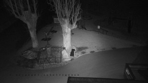 Horský hotel Čarták na Soláni - Pohled na Amfiteatr - 17.3.2026 v 00:40 Horský hotel Čarták na Soláni - Pohled na Amfiteatr - 17.3.2026 v 00:40