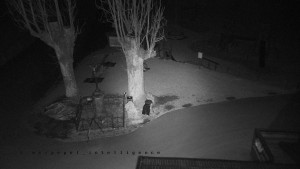 Horský hotel Čarták na Soláni - Pohled na Amfiteatr - 17.3.2026 v 01:20 Horský hotel Čarták na Soláni - Pohled na Amfiteatr - 17.3.2026 v 01:20