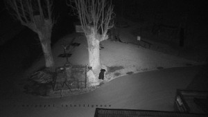 Horský hotel Čarták na Soláni - Pohled na Amfiteatr - 17.3.2026 v 02:05 Horský hotel Čarták na Soláni - Pohled na Amfiteatr - 17.3.2026 v 02:05