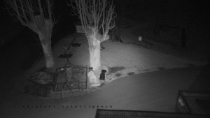 Horský hotel Čarták na Soláni - Pohled na Amfiteatr - 17.3.2026 v 02:25 Horský hotel Čarták na Soláni - Pohled na Amfiteatr - 17.3.2026 v 02:25