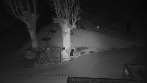 Horský hotel Čarták na Soláni - Pohled na Amfiteatr - 17.3.2026 v 02:35 Horský hotel Čarták na Soláni - Pohled na Amfiteatr - 17.3.2026 v 02:35