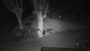 Horský hotel Čarták na Soláni - Pohled na Amfiteatr - 17.3.2026 v 02:50 Horský hotel Čarták na Soláni - Pohled na Amfiteatr - 17.3.2026 v 02:50