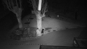 Horský hotel Čarták na Soláni - Pohled na Amfiteatr - 17.3.2026 v 03:15 Horský hotel Čarták na Soláni - Pohled na Amfiteatr - 17.3.2026 v 03:15