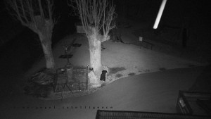 Horský hotel Čarták na Soláni - Pohled na Amfiteatr - 17.3.2026 v 03:25 Horský hotel Čarták na Soláni - Pohled na Amfiteatr - 17.3.2026 v 03:25