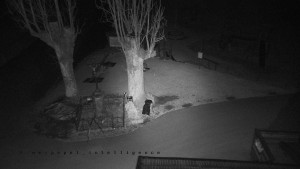 Horský hotel Čarták na Soláni - Pohled na Amfiteatr - 17.3.2026 v 03:35 Horský hotel Čarták na Soláni - Pohled na Amfiteatr - 17.3.2026 v 03:35