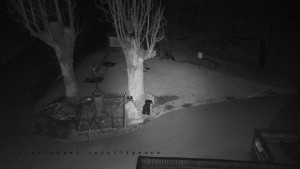 Horský hotel Čarták na Soláni - Pohled na Amfiteatr - 17.3.2026 v 03:45 Horský hotel Čarták na Soláni - Pohled na Amfiteatr - 17.3.2026 v 03:45