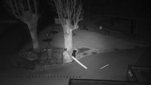 Horský hotel Čarták na Soláni - Pohled na Amfiteatr - 17.3.2026 v 04:20 Horský hotel Čarták na Soláni - Pohled na Amfiteatr - 17.3.2026 v 04:20