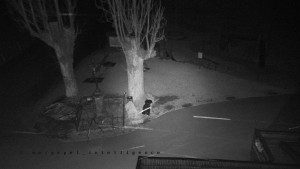 Horský hotel Čarták na Soláni - Pohled na Amfiteatr - 17.3.2026 v 04:25 Horský hotel Čarták na Soláni - Pohled na Amfiteatr - 17.3.2026 v 04:25