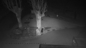 Horský hotel Čarták na Soláni - Pohled na Amfiteatr - 17.3.2026 v 04:35 Horský hotel Čarták na Soláni - Pohled na Amfiteatr - 17.3.2026 v 04:35