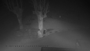 Horský hotel Čarták na Soláni - Pohled na Amfiteatr - 17.3.2026 v 05:10 Horský hotel Čarták na Soláni - Pohled na Amfiteatr - 17.3.2026 v 05:10