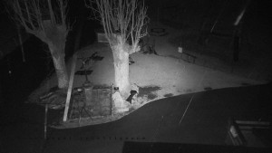 Horský hotel Čarták na Soláni - Pohled na Amfiteatr - 17.3.2026 v 19:10 Horský hotel Čarták na Soláni - Pohled na Amfiteatr - 17.3.2026 v 19:10