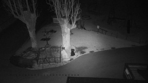 Horský hotel Čarták na Soláni - Pohled na Amfiteatr - 23.3.2026 v 04:10 Horský hotel Čarták na Soláni - Pohled na Amfiteatr - 23.3.2026 v 04:10