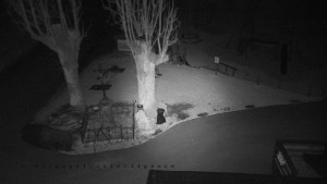 Horský hotel Čarták na Soláni - Pohled na Amfiteatr - 23.3.2026 v 04:20 Horský hotel Čarták na Soláni - Pohled na Amfiteatr - 23.3.2026 v 04:20