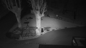 Horský hotel Čarták na Soláni - Pohled na Amfiteatr - 23.3.2026 v 04:40 Horský hotel Čarták na Soláni - Pohled na Amfiteatr - 23.3.2026 v 04:40