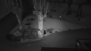 Horský hotel Čarták na Soláni - Pohled na Amfiteatr - 23.3.2026 v 05:01 Horský hotel Čarták na Soláni - Pohled na Amfiteatr - 23.3.2026 v 05:01