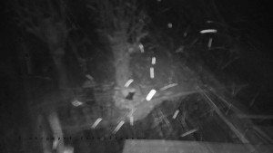 Horský hotel Čarták na Soláni - Pohled na Amfiteatr - 27.3.2026 v 00:05 Horský hotel Čarták na Soláni - Pohled na Amfiteatr - 27.3.2026 v 00:05