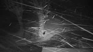 Horský hotel Čarták na Soláni - Pohled na Amfiteatr - 27.3.2026 v 01:00 Horský hotel Čarták na Soláni - Pohled na Amfiteatr - 27.3.2026 v 01:00