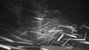 Horský hotel Čarták na Soláni - Pohled na Amfiteatr - 27.3.2026 v 01:25 Horský hotel Čarták na Soláni - Pohled na Amfiteatr - 27.3.2026 v 01:25